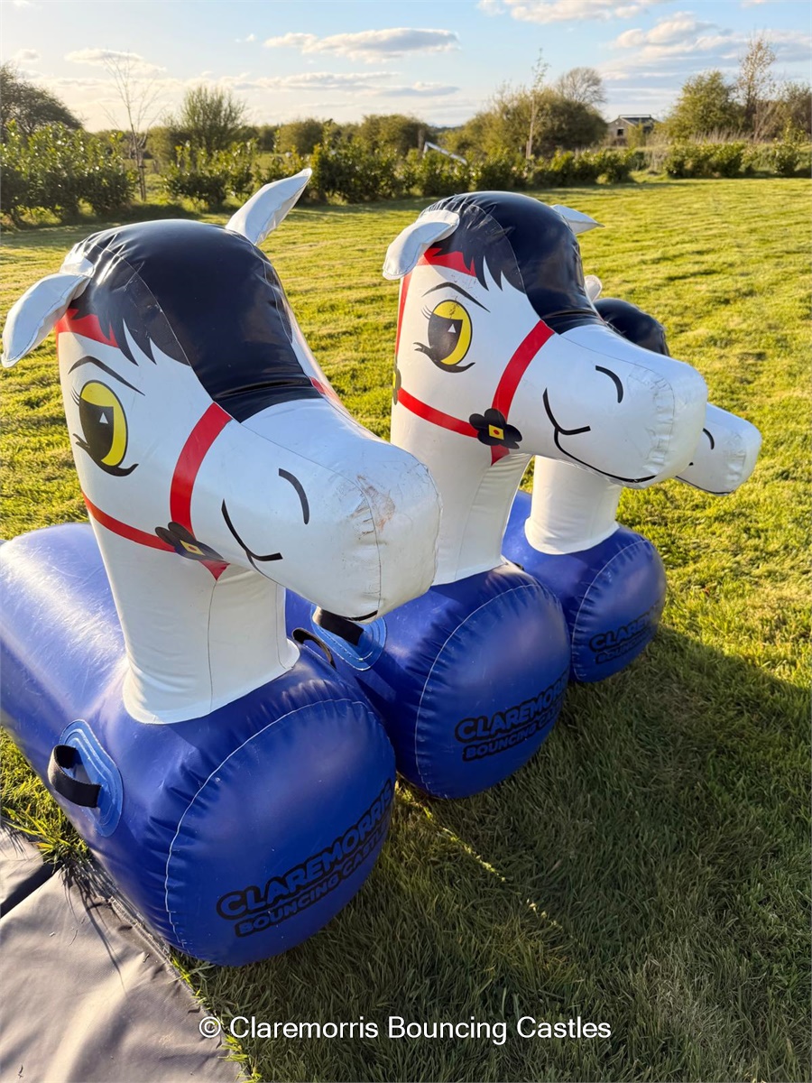 Inflatable Ponies - Bouncy Castle / Inflatable hire in Claremorris ...