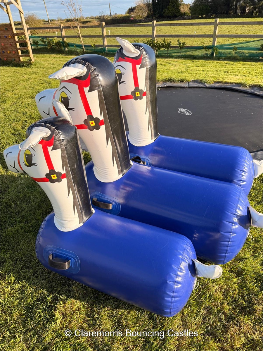 Inflatable Ponies - Bouncy Castle / Inflatable hire in Claremorris ...