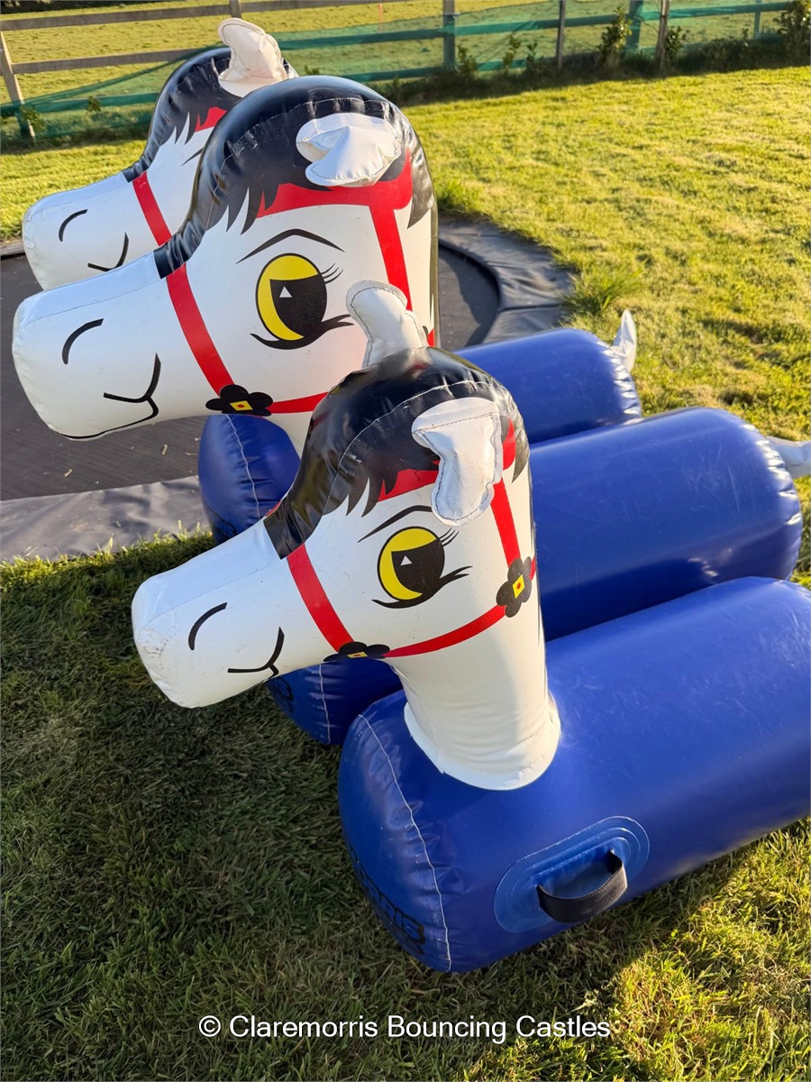 Inflatable Ponies - Bouncy Castle / Inflatable hire in Claremorris ...