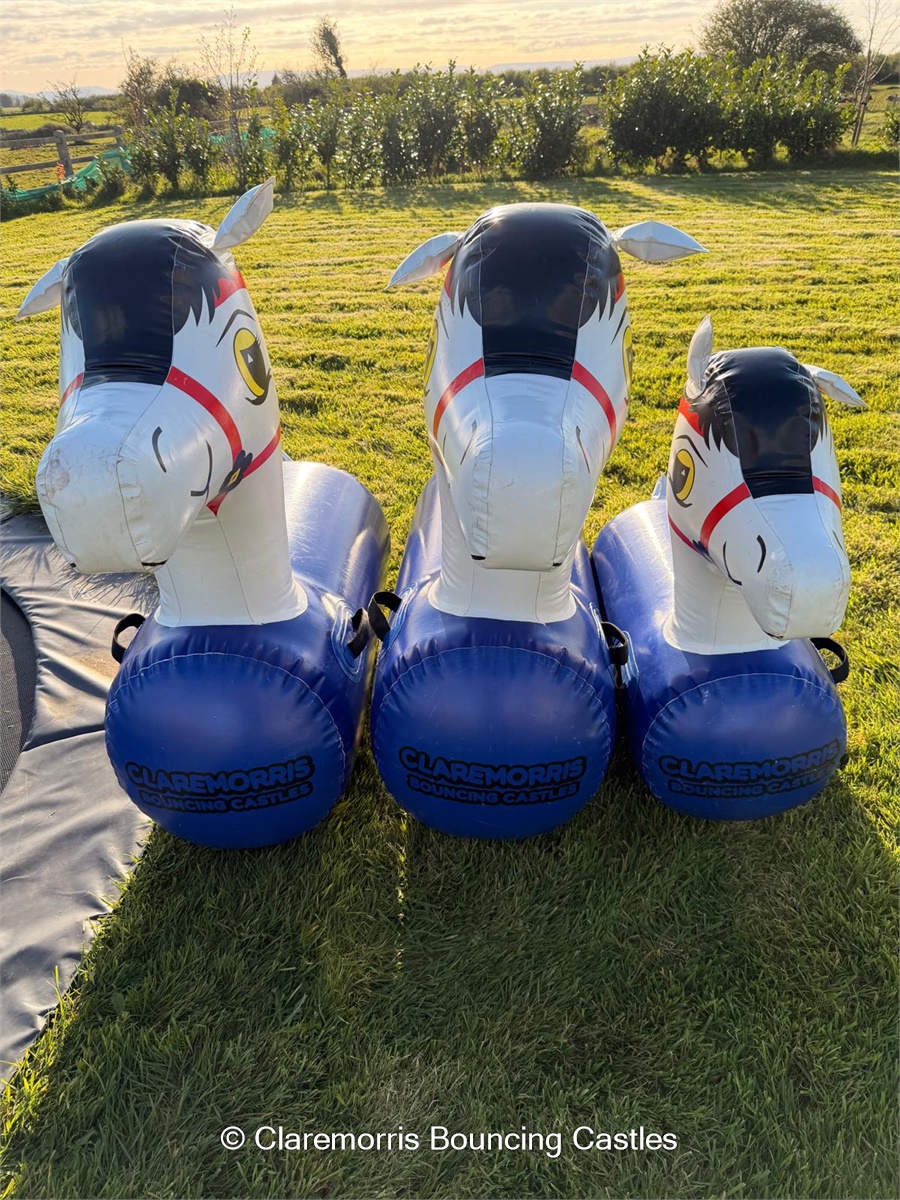 Inflatable Ponies - Bouncy Castle / Inflatable hire in Claremorris ...